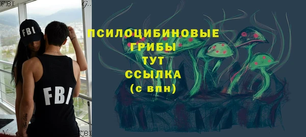 марки lsd Богородицк